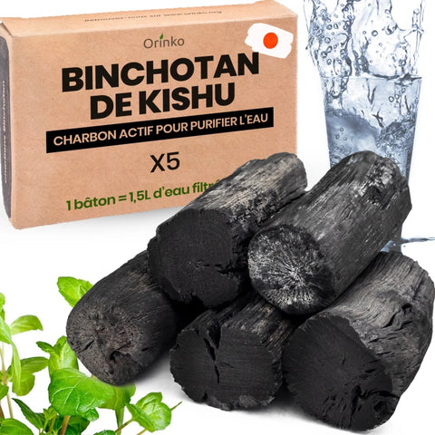 Binchotan Japonais de Kishu 5X (boîte) | Chêne Ubame