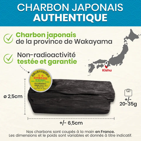 Binchotan Japonais de Kishu 5X (boîte) | Chêne Ubame