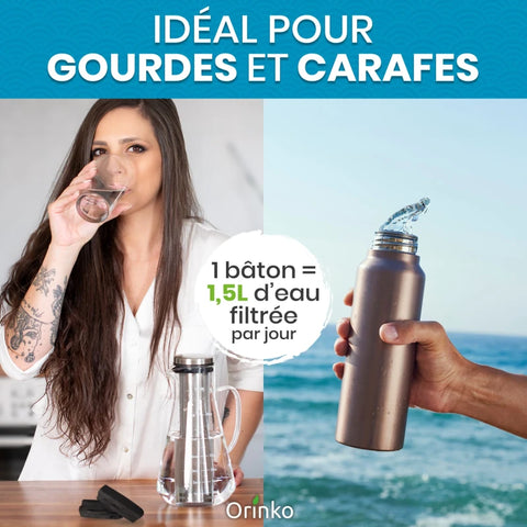 Binchotan Japonais de Kishu 5X (boîte) | Chêne Ubame