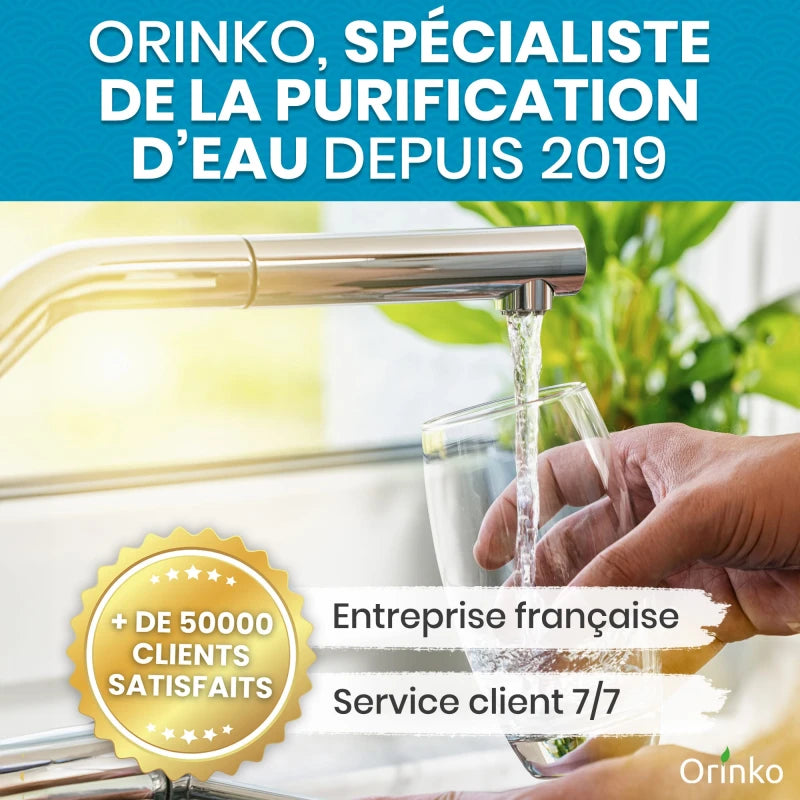 Binchotan Japonais de Kishu 5X (boîte) | Chêne Ubame