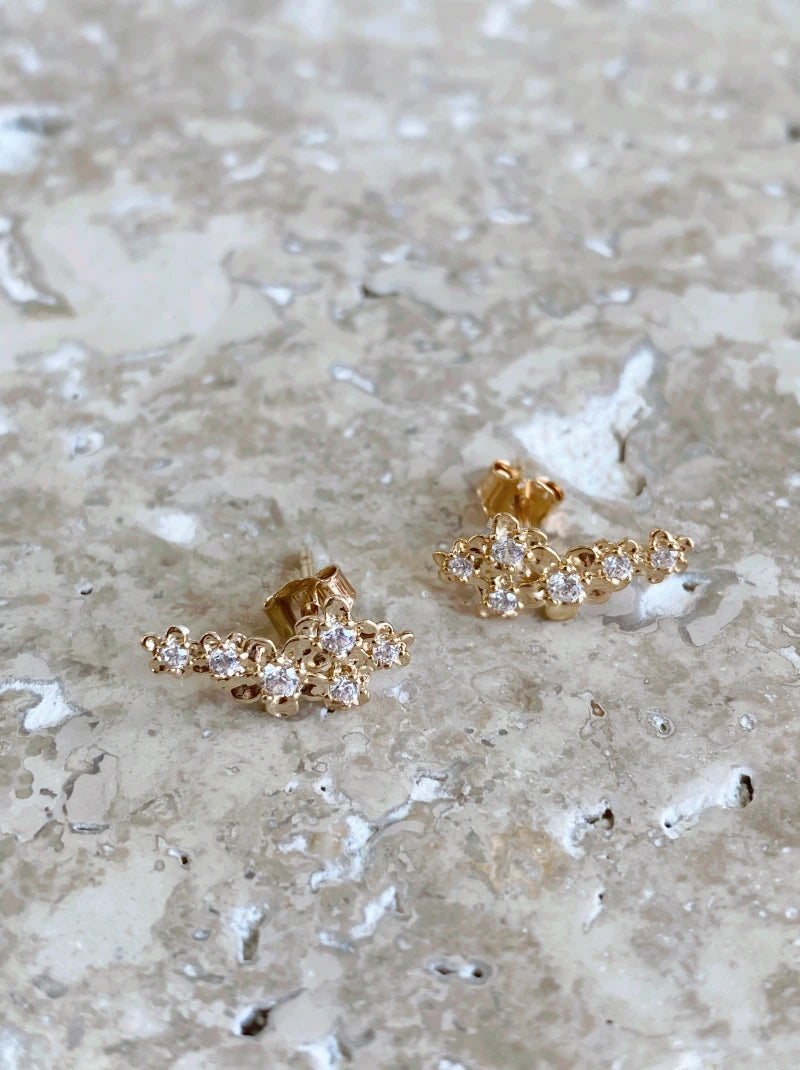 Boucles d'Oreilles Bouquet