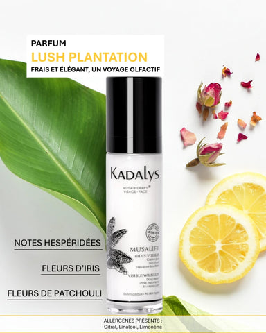 Crème Jour Liftante 50ML - RAFFERMIT & LIFTE