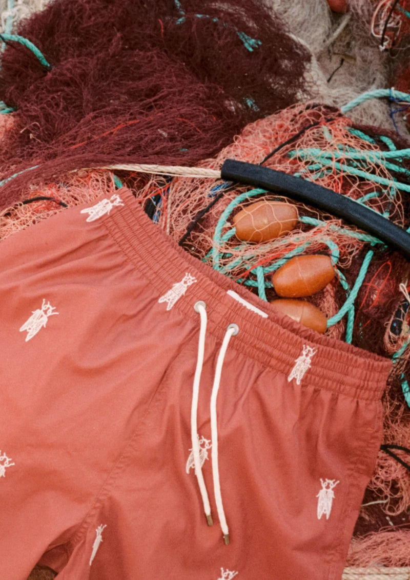 SHORT LES CIGALES