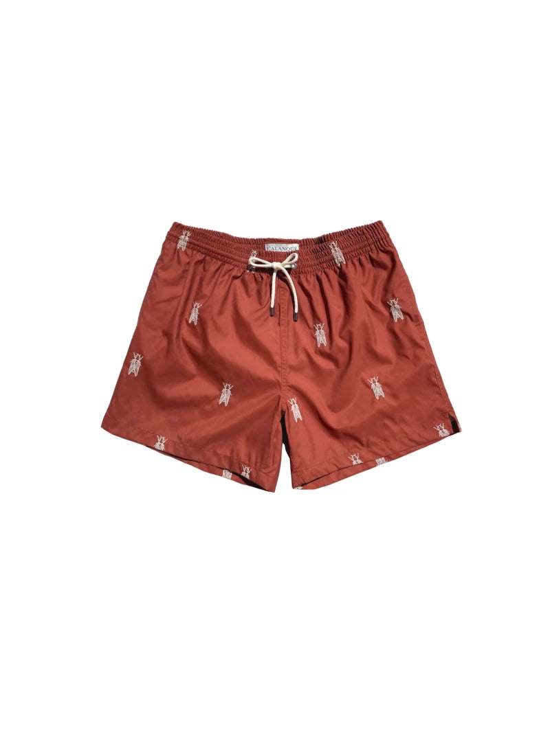 SHORT LES CIGALES