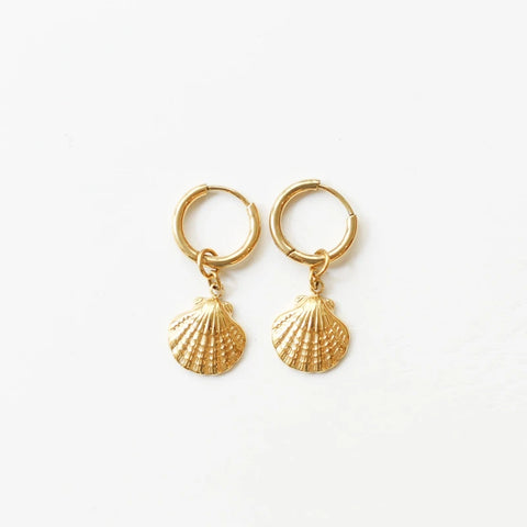 Boucles anneaux Coquillage