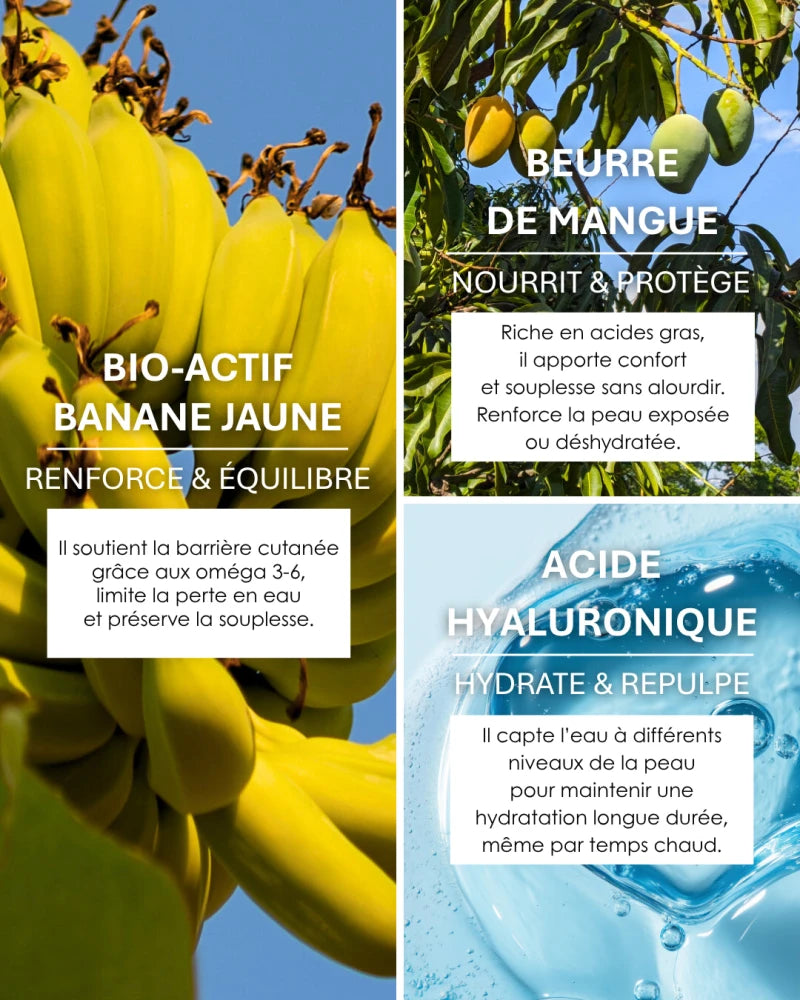 Crème Réconfortante 50ML - HYDRATE & APAISE