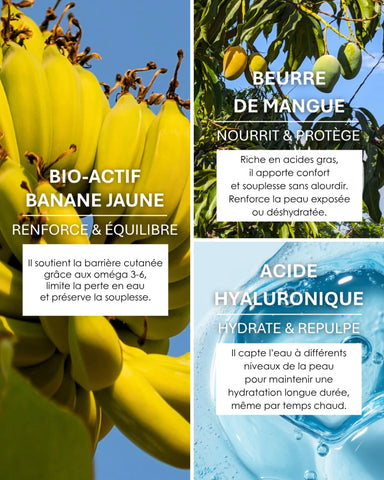 Crème Réconfortante 50ML - HYDRATE & APAISE