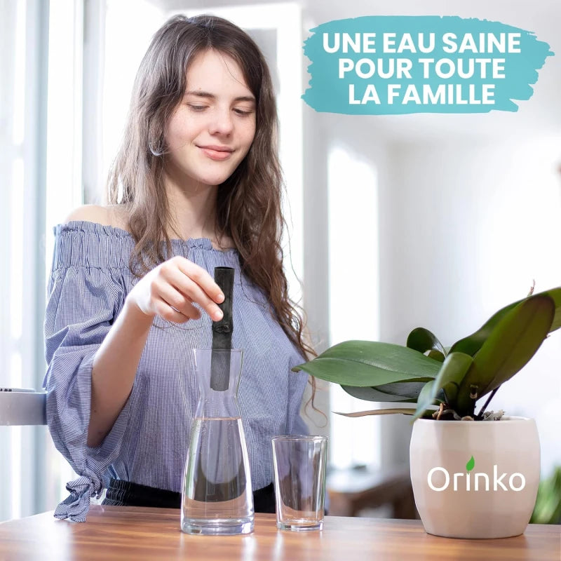 Charbon Takesumi de Bambou X3 - pour purifier l’Eau