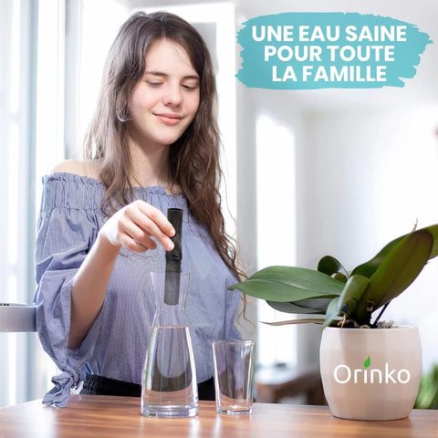 Charbon Takesumi de Bambou X3 - pour purifier l’Eau