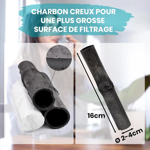 Charbon Takesumi de Bambou X3 - pour purifier l’Eau