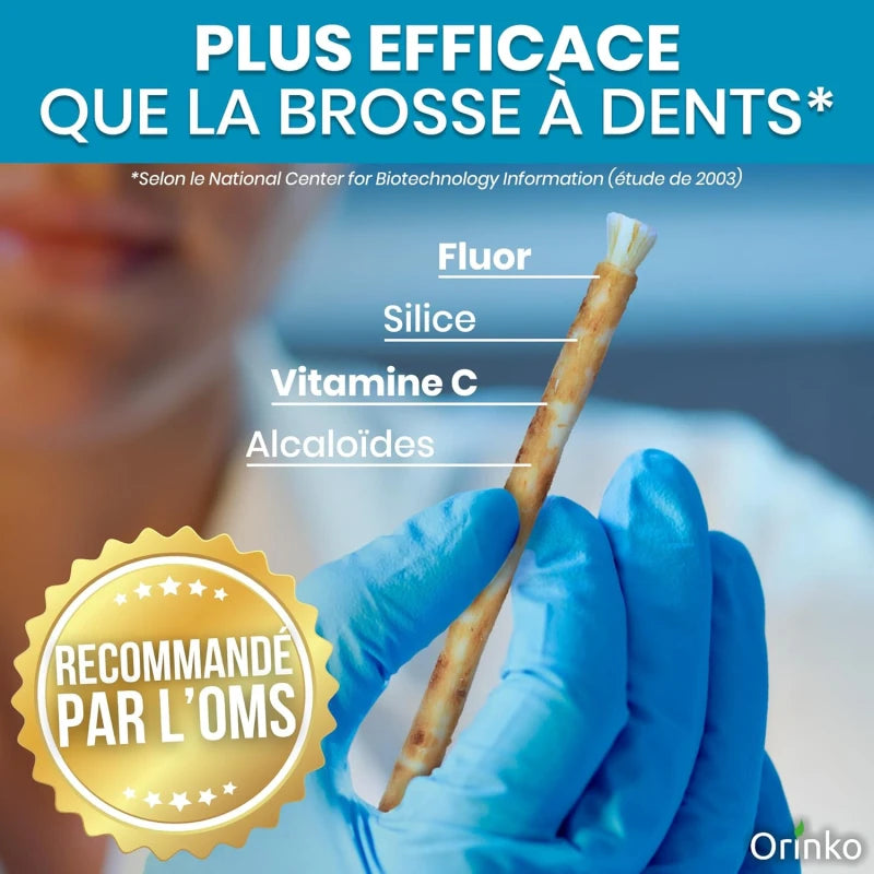 Bâtons de Siwak (Miswak) X18 - Brosse à Dents 100% Naturelle