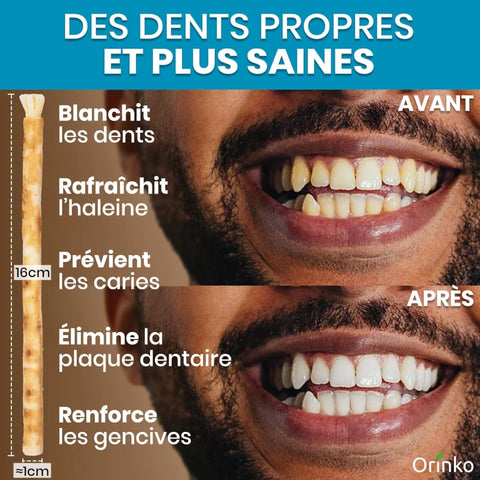 Siwak x4 avec 4 Étuis de Protection – Brosse à Dents 100% Naturelle – Nettoyant, Désinfectant et Blanchissant - Écologique, Biodégradable et Végan – Ebook Offert