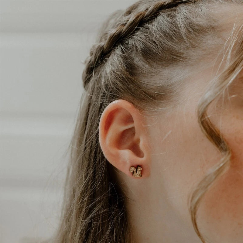 Boucles d'oreilles pailletées - Ecureuils