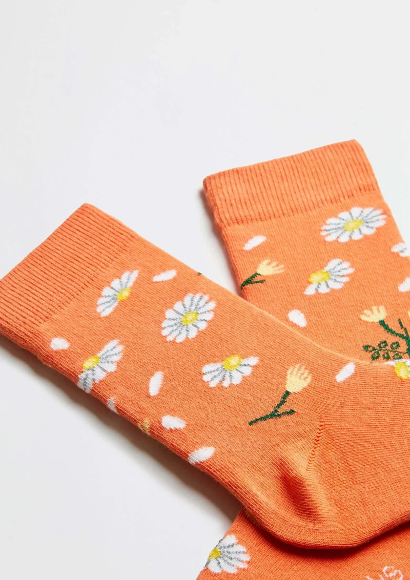Chaussettes en coton - BeDaisy Orange