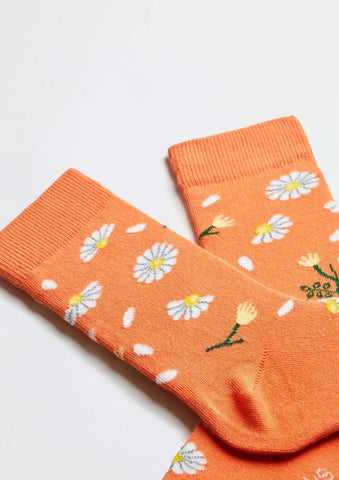 Chaussettes en coton - BeDaisy Orange