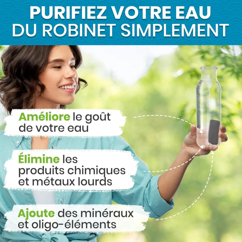 Binchotan Japonais de Kishu x4 (boîte) – Charbon Actif pour Eau – Région de Wakayama