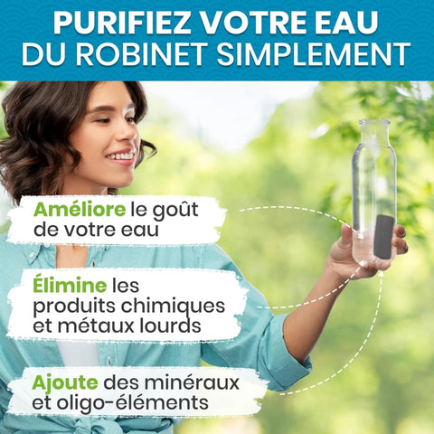 Binchotan Japonais de Kishu x4 (boîte) – Charbon Actif pour Eau – Région de Wakayama