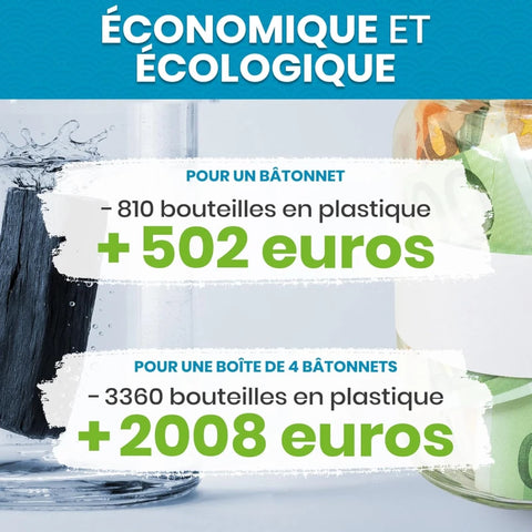 Binchotan Japonais de Kishu x4 (boîte) – Charbon Actif pour Eau – Région de Wakayama