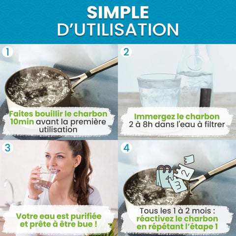 Binchotan Japonais de Kishu x4 (boîte) – Charbon Actif pour Eau – Région de Wakayama