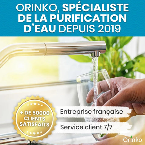 Binchotan Japonais de Kishu x4 (boîte) – Charbon Actif pour Eau – Région de Wakayama