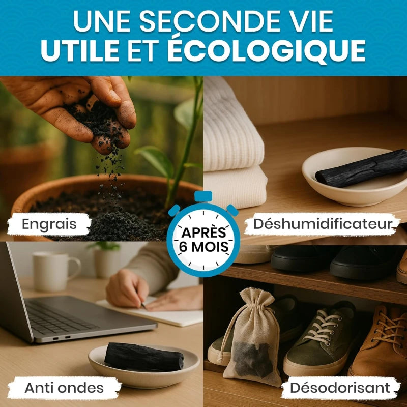 Binchotan Japonais de Kishu x4 (boîte) – Charbon Actif pour Eau – Région de Wakayama