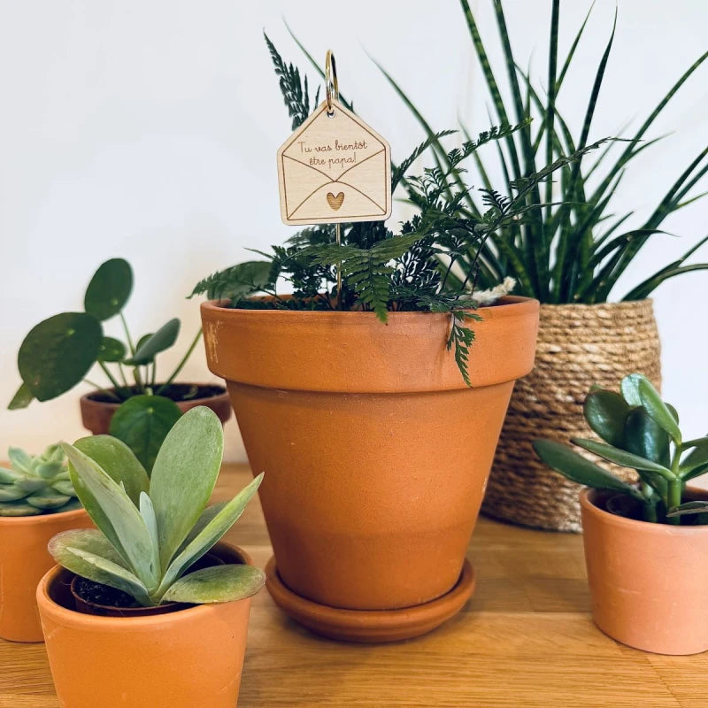 Pic Botanique - Tu vas être papa