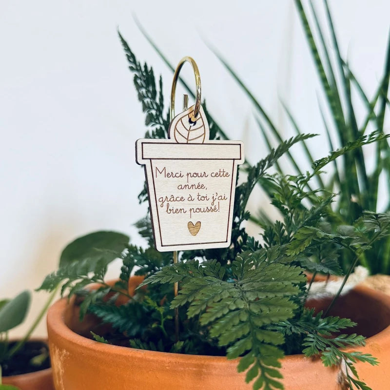 Pic Botanique - Merci pour cette année