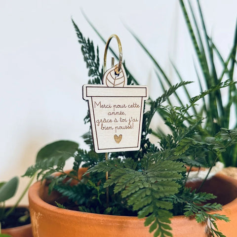 Pic Botanique - Merci pour cette année