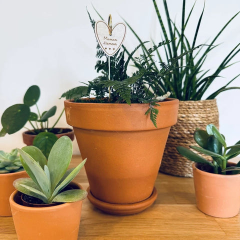 Pic Botanique - Maman d'amour