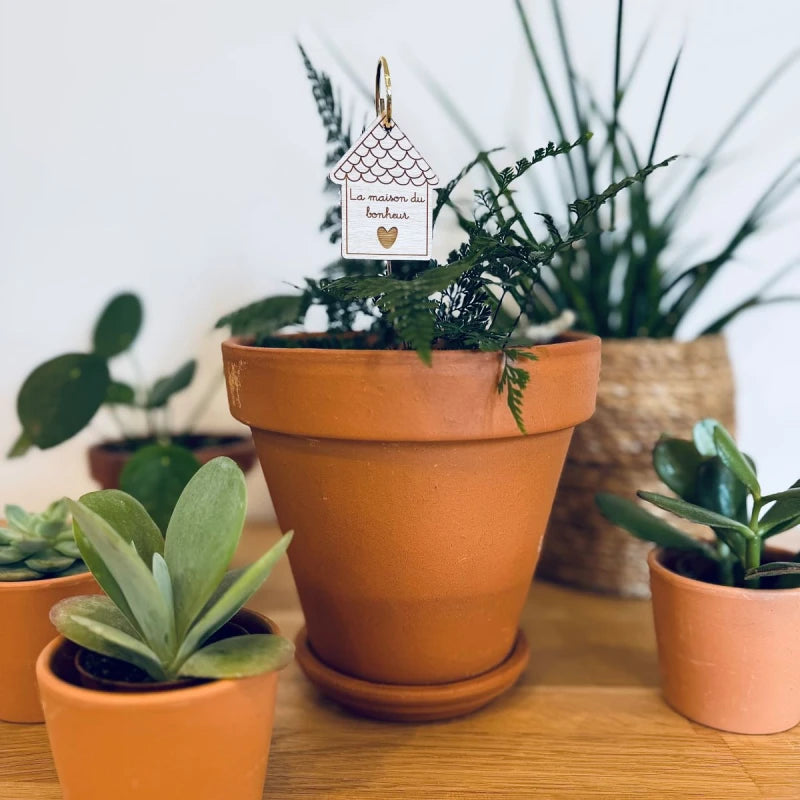 Pic Botanique - La maison du bonheur