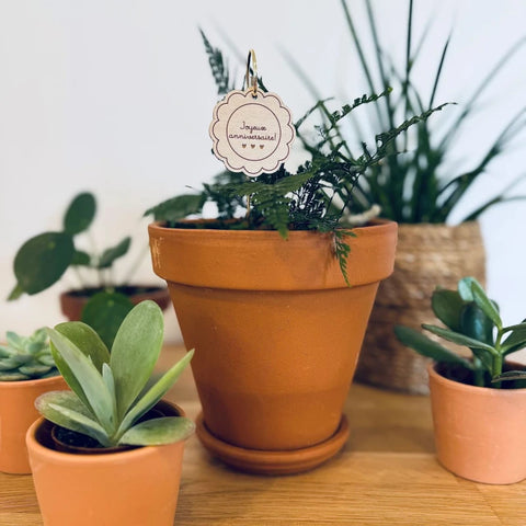 Pic Botanique - Joyeux anniversaire