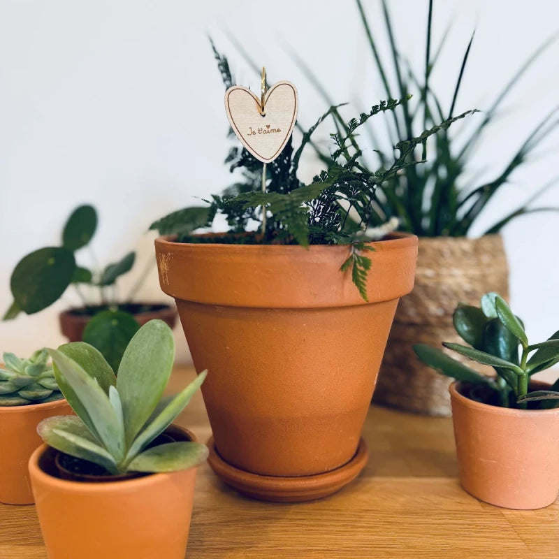 Pic Botanique - Je t'aime