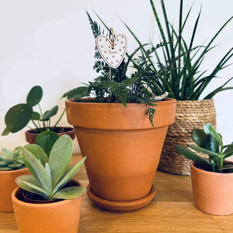 Pic Botanique - Bisou