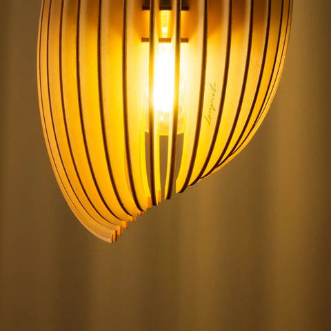 Assia | Suspension
