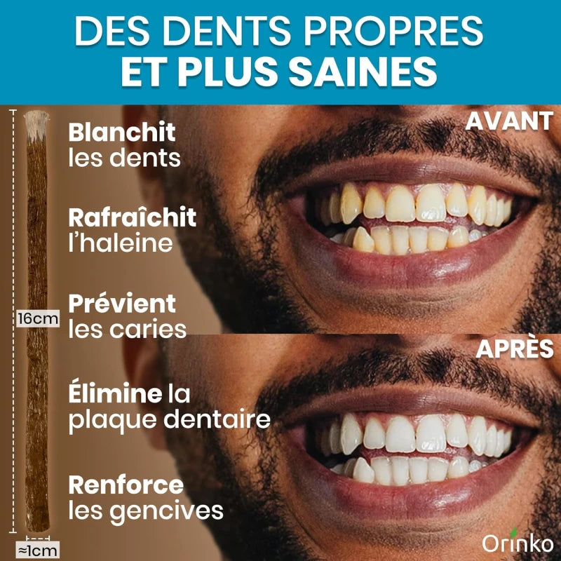 Bâtons de Siwak d'Olivier x5 + 1 Étui de Protection – Brosse à Dents 100% Naturelle