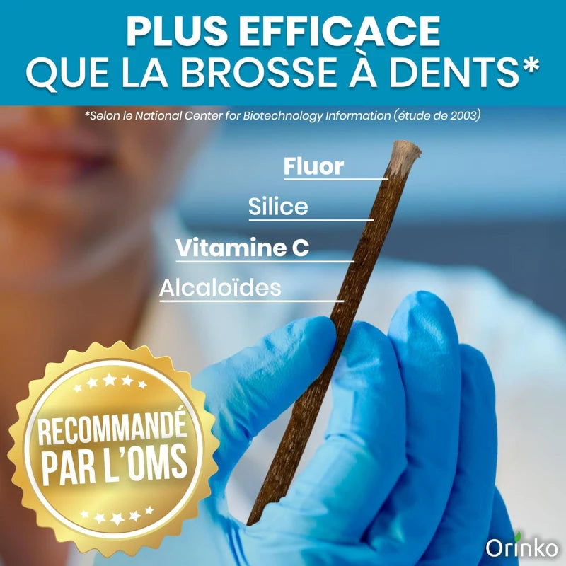 Bâtons de Siwak d'Olivier x5 + 1 Étui de Protection – Brosse à Dents 100% Naturelle