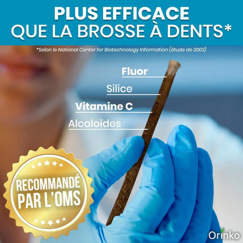 Bâtons de Siwak d'Olivier x5 + 1 Étui de Protection – Brosse à Dents 100% Naturelle