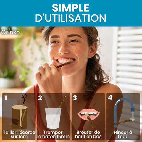 Bâtons de Siwak d'Olivier x5 + 1 Étui de Protection – Brosse à Dents 100% Naturelle