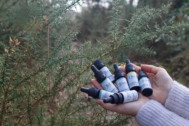 Coffret Collection Caméline – Elfenn Cosmétiques