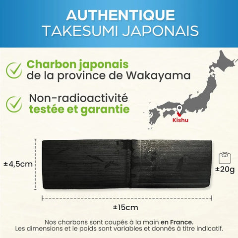 Kit de Purification d'Eau : Carafe 1.6L et Takesumi Japonais x2