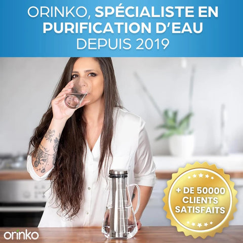 Kit de Purification d'Eau : Carafe 1.6L et Takesumi Japonais x2