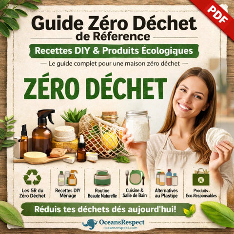 Les 10 meilleures recettes DIY zéro déchet pour faire ses propres produits ménagers