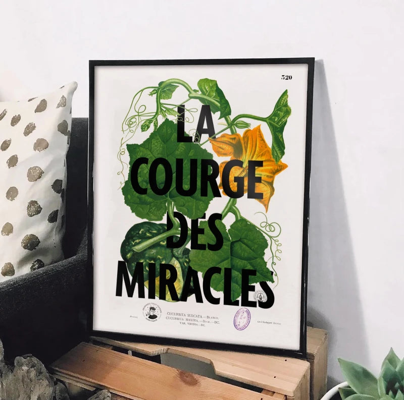 La courge des miracles | Affiche