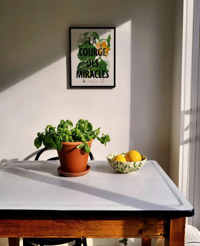 La courge des miracles | Affiche