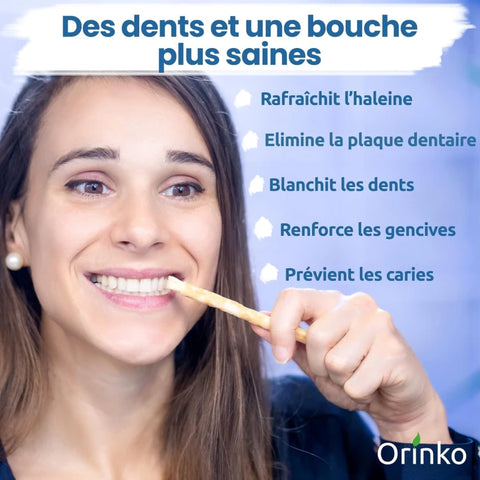 1 Bâton de Siwak avec Étui de protection – Brosse à Dents 100% Naturelle – Nettoyant, Désinfectant et Blanchissant - Écologique, Biodégradable et Végan – Ebook Offert
