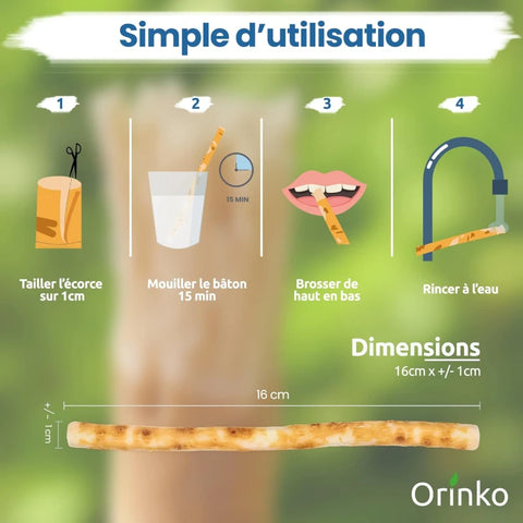 1 Bâton de Siwak avec Étui de protection – Brosse à Dents 100% Naturelle – Nettoyant, Désinfectant et Blanchissant - Écologique, Biodégradable et Végan – Ebook Offert