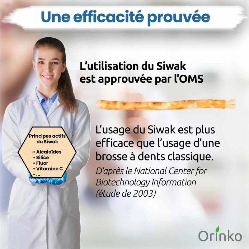 1 Bâton de Siwak avec Étui de protection – Brosse à Dents 100% Naturelle – Nettoyant, Désinfectant et Blanchissant - Écologique, Biodégradable et Végan – Ebook Offert