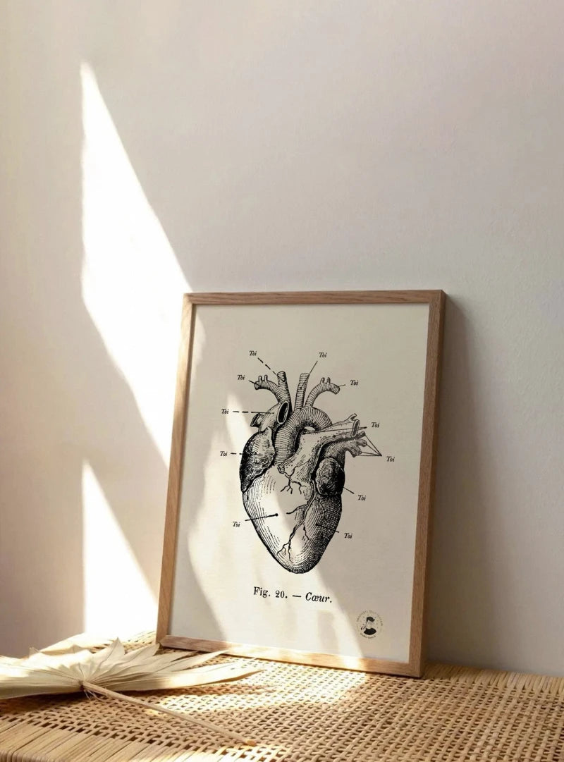 Anatomie de mon cœur | Affiche