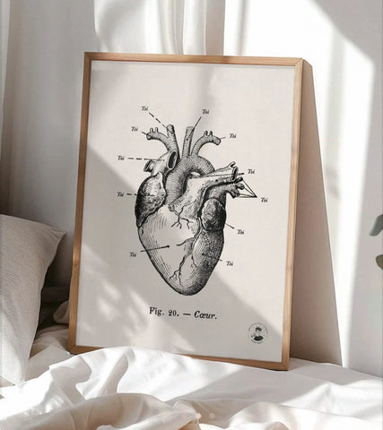 Anatomie de mon cœur | Affiche