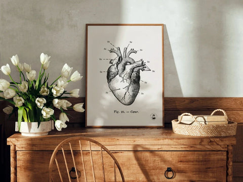 Anatomie de mon cœur | Affiche